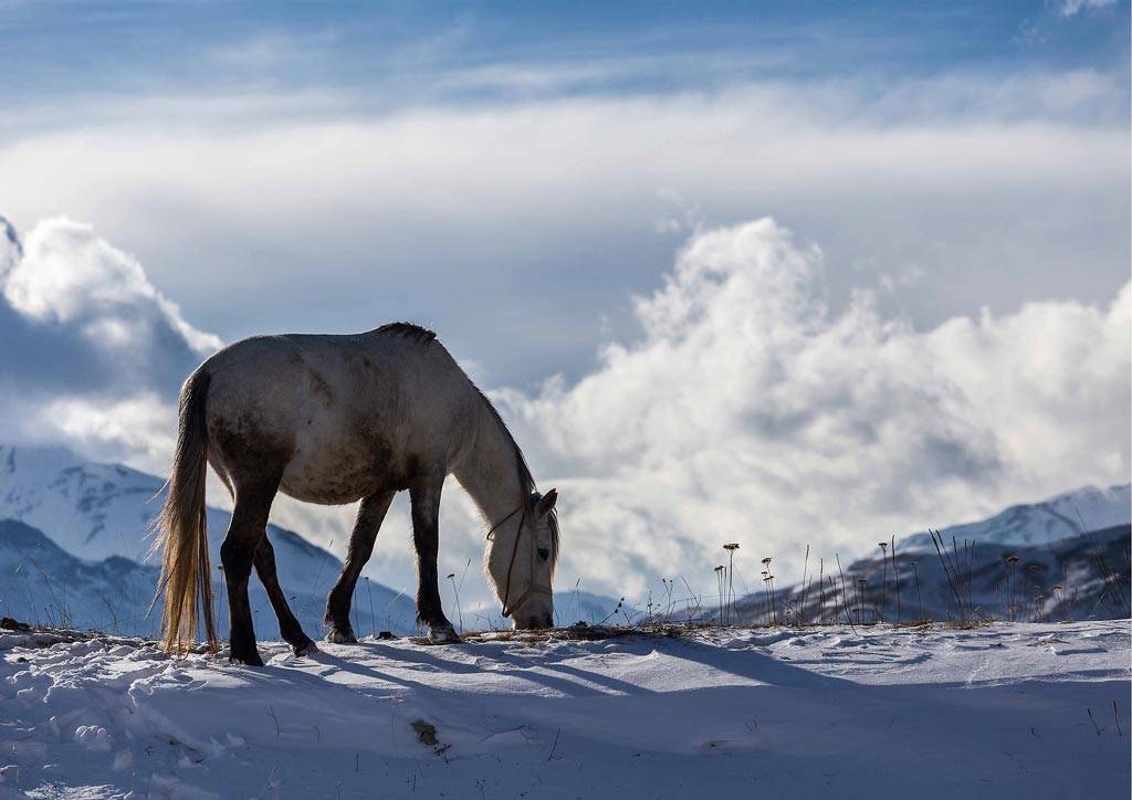 Azerbajdzsán, téli táj lóval