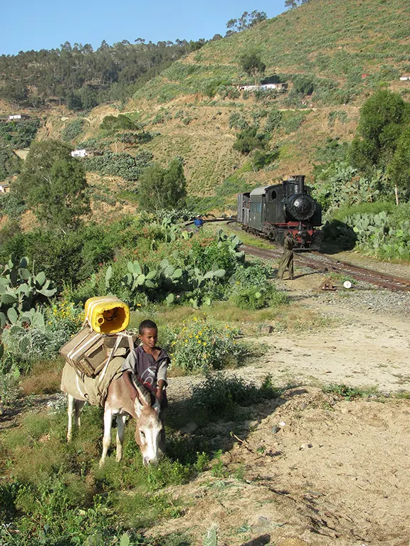 teherhordó Eritreában