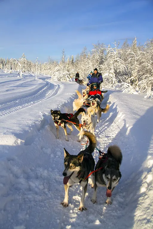kutyaszán, Finnország