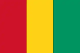 Guinea hivatalos zászlaja