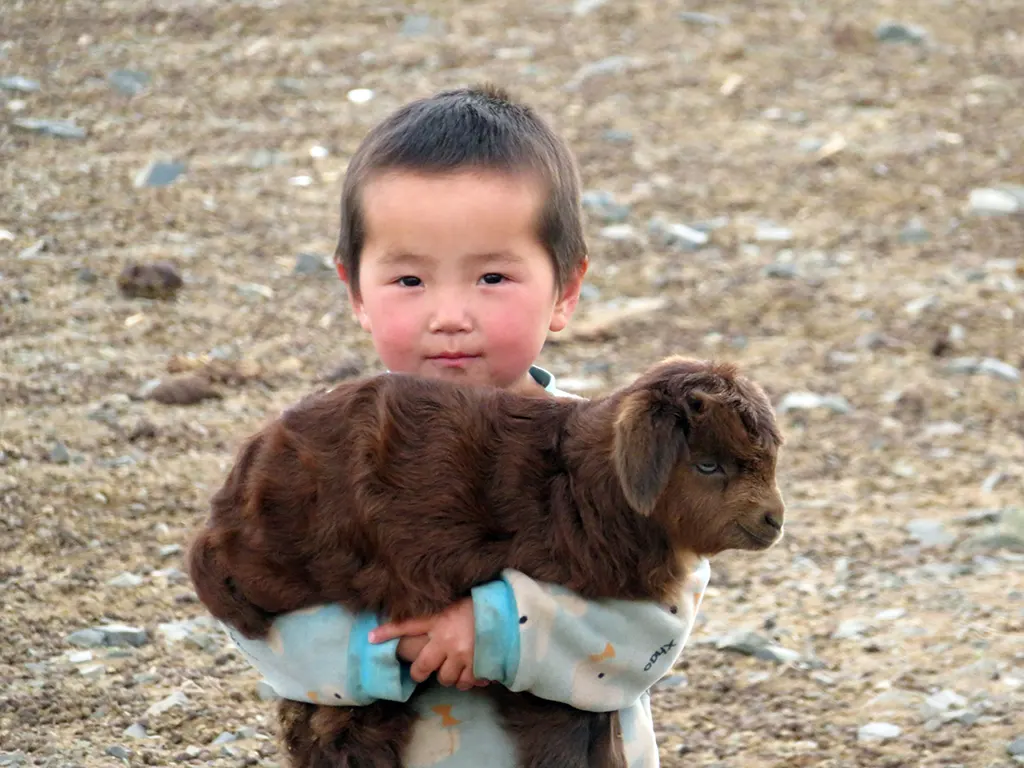 kecske, kisfiú, Mongólia