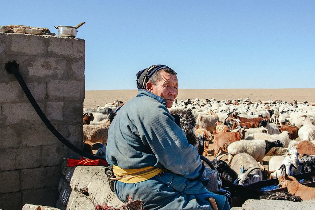 nomád pásztor, Mongólia