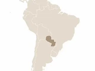 Paraguay elhelyezkedése Dél-Amerikában