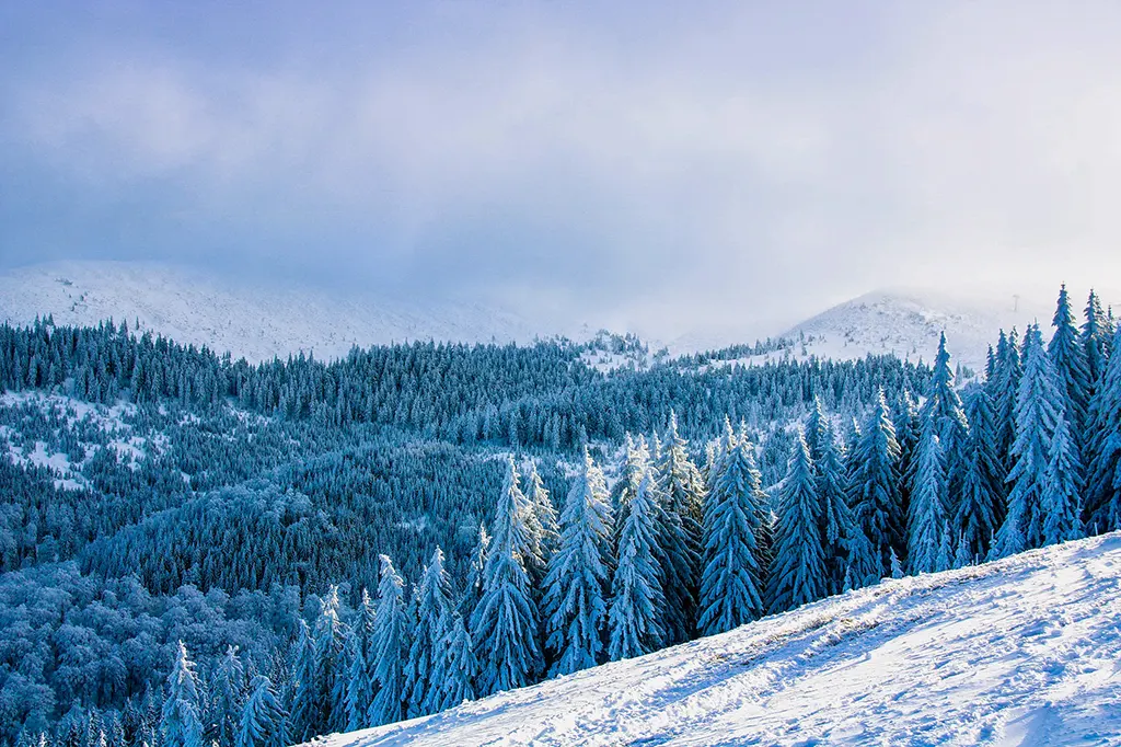 Románia, havas táj