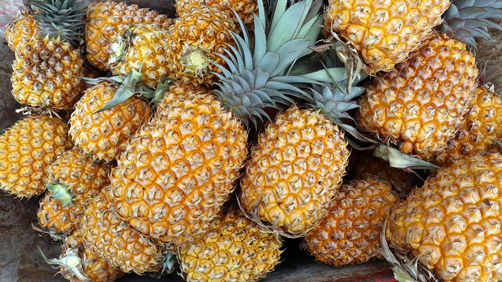 Tonga, ananász