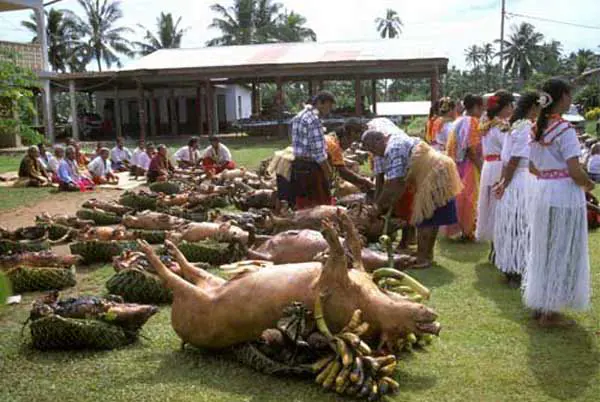 St. Chanel napi ünnepi sült disznók - Wallis és Futuna