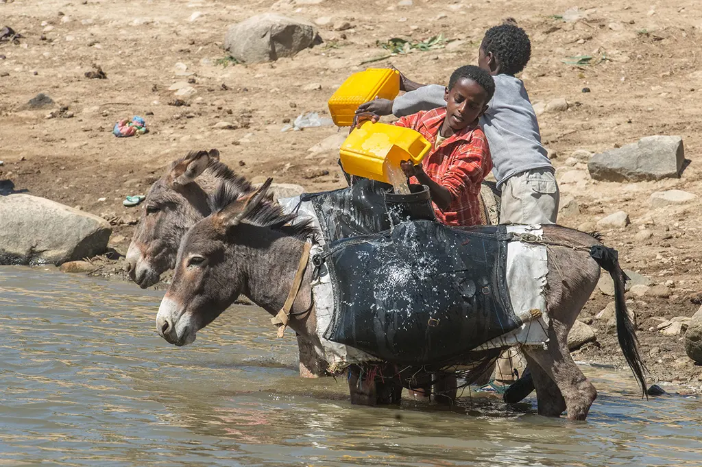 vízhordás, Eritrea