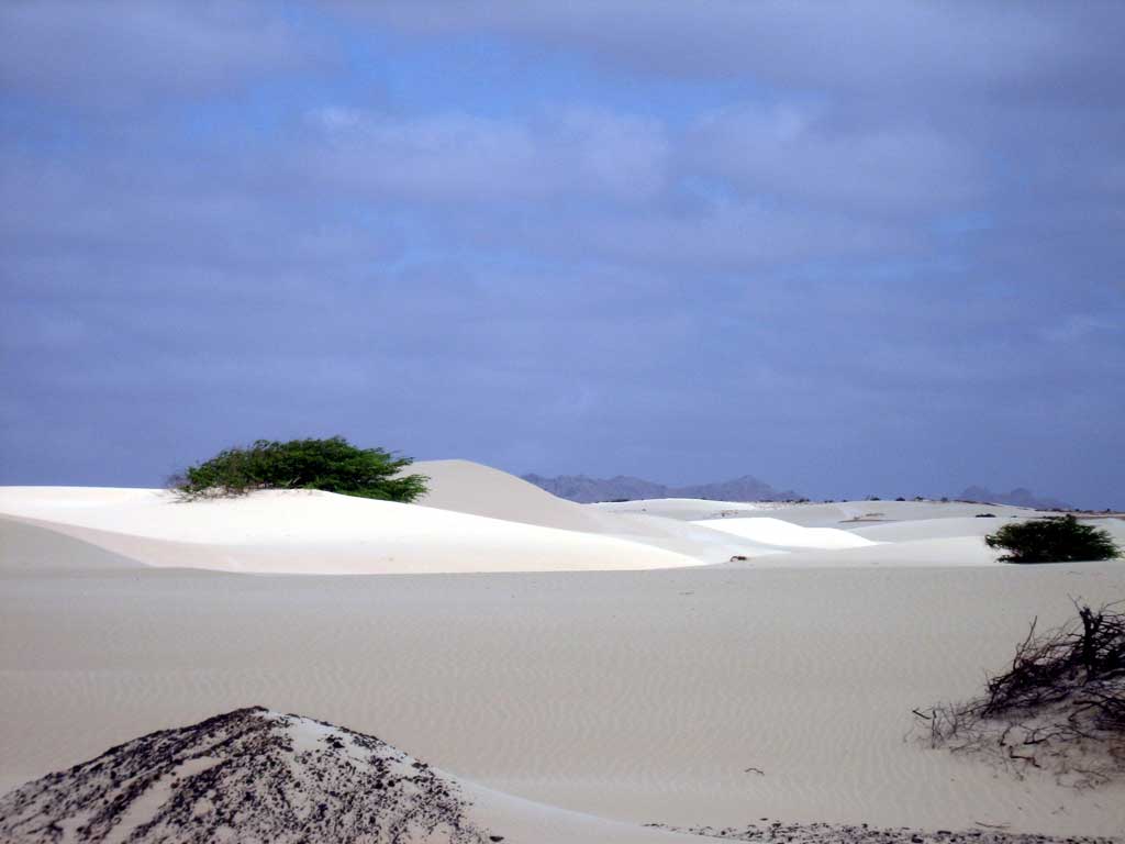 Zöld-foki szigetek - fehér homokos Viana sivatag, Boa Vista sziget