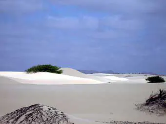 Zöld-foki szigetek fehér homokos sivatag
